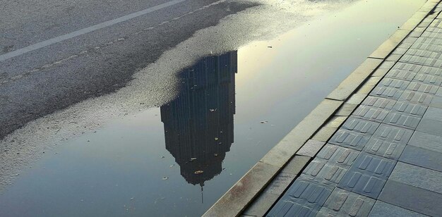 Фото Отражение деревьев в воде