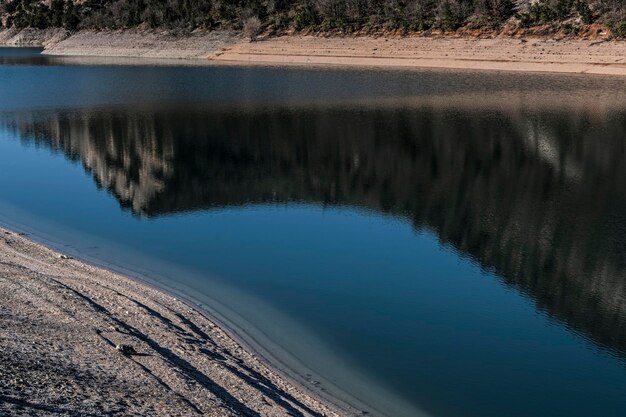 写真 湖の木の反射