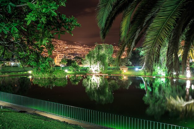 Reflection of palm trees in swimming pool at night