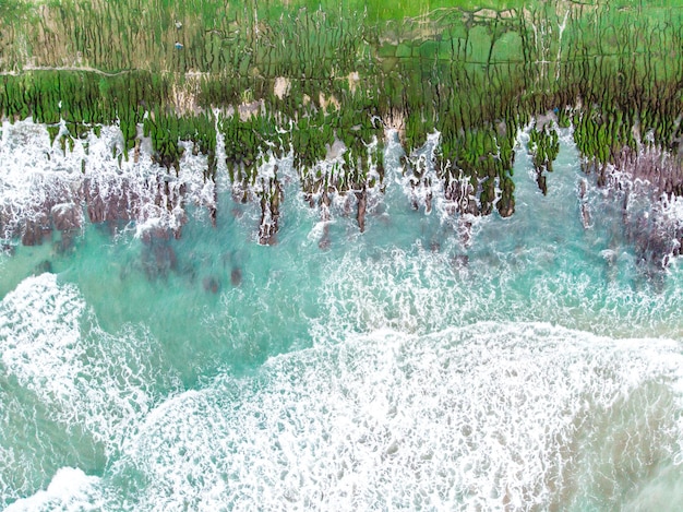 Foto riflesso delle piante nel lago