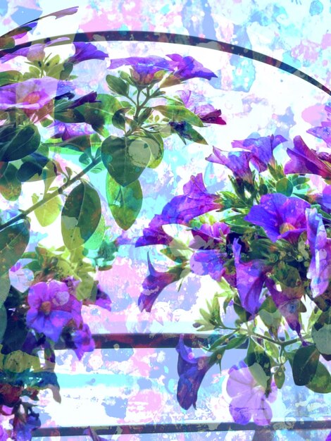 Photo reflection of purple flowers on glass