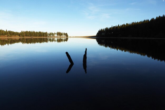 Photo reflection of silhouette trees in lake against sky