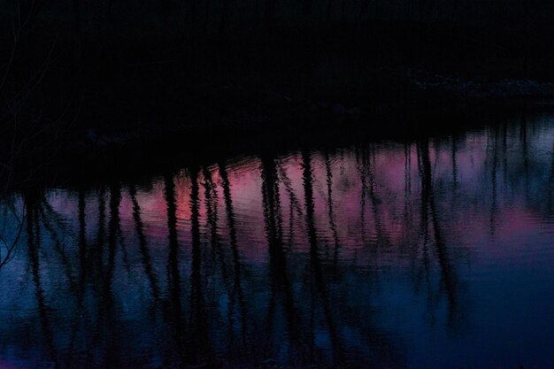 Photo reflection of silhouette trees on lake at night