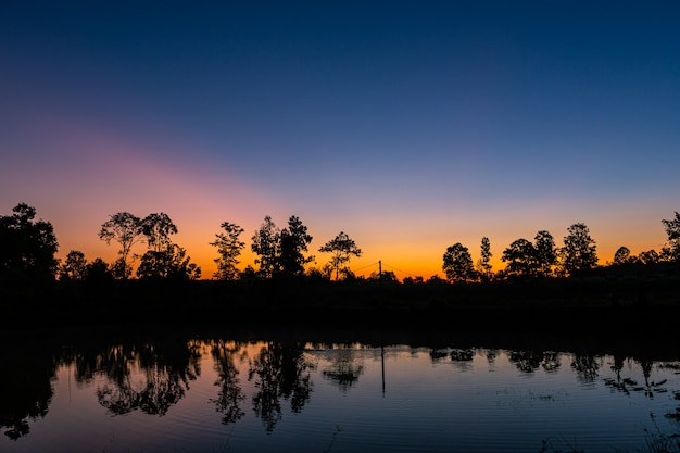 Reflection in the small pond of the forest at sunrise with the beautiful orange light