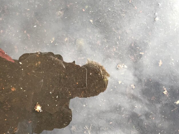Photo reflection of snow on puddle