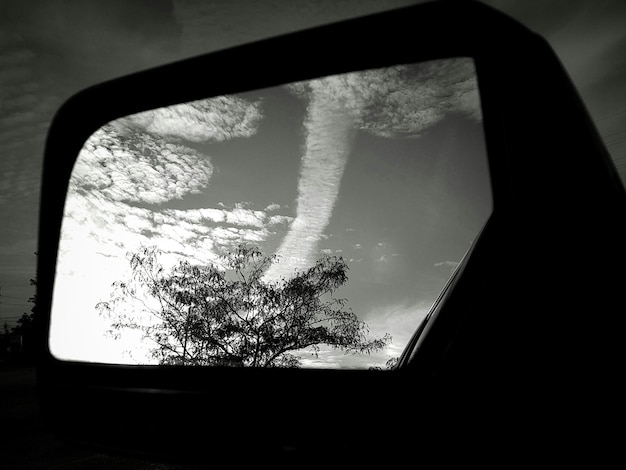 Photo reflection of tree against sky seen on rear-view mirror