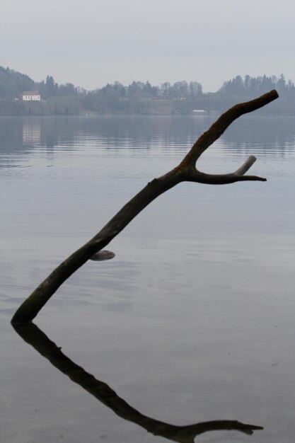 Reflection of tree in lake against sky