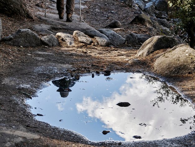 Photo reflection of tree in puddle on lake against sky