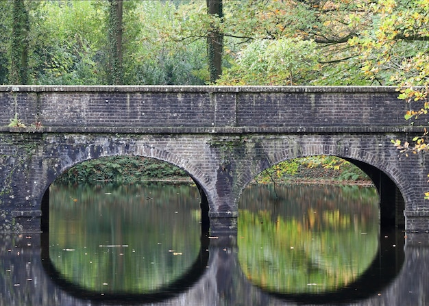 Reflection of trees on bridge