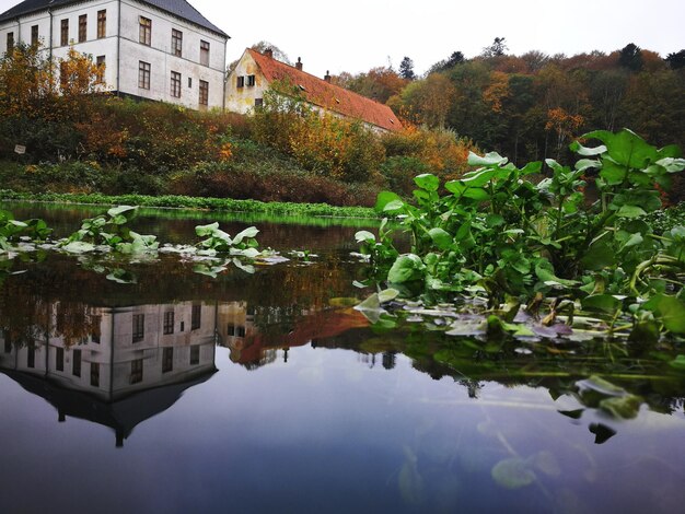 Reflection of trees and buildings in lake