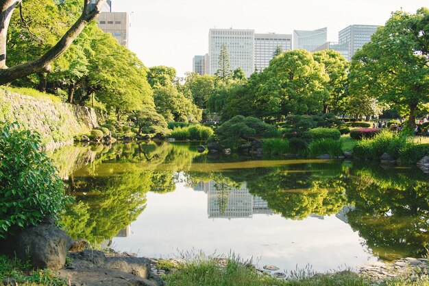 Photo reflection of trees and buildings in lake