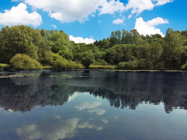 Reflection of trees in calm lake