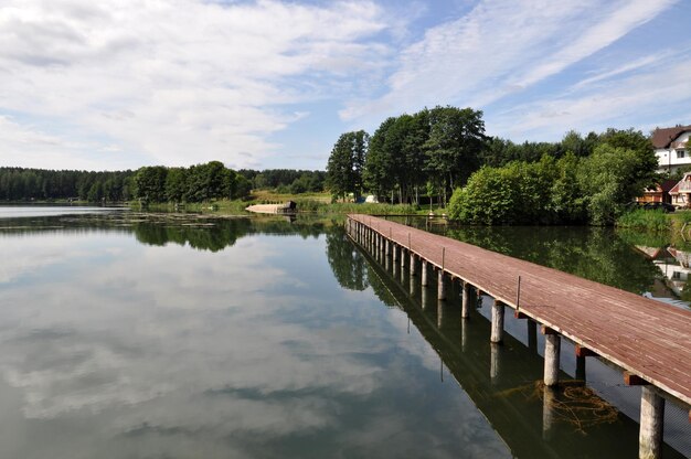 Photo reflection of trees in calm lake