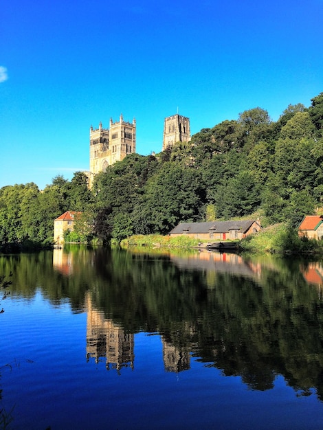 Reflection of trees in calm water