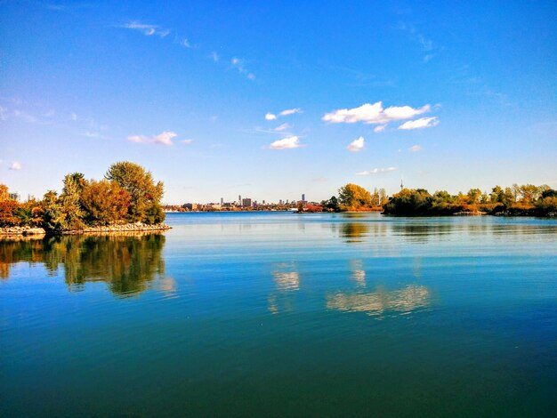 Reflection of trees in calm water