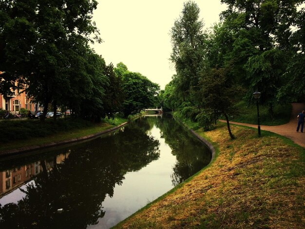Foto riflesso degli alberi nel canale