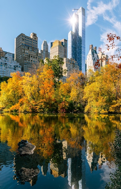 Photo reflection of trees in city