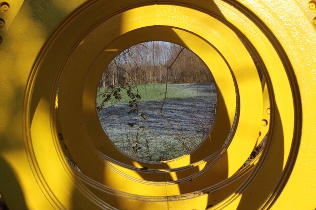 Foto il riflesso degli alberi sulla finestra di vetro