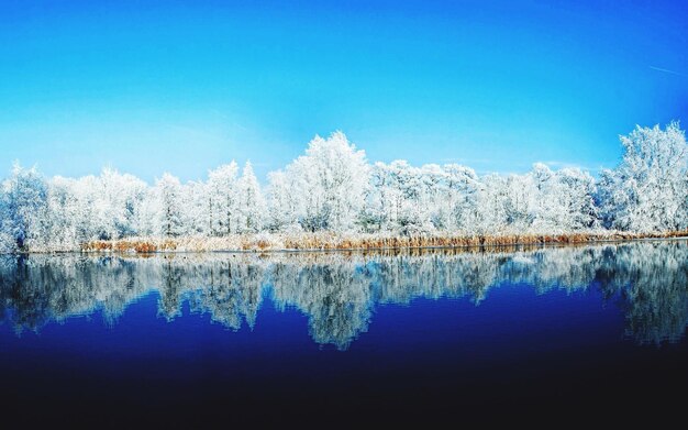 Reflection of trees in lake against blue sky