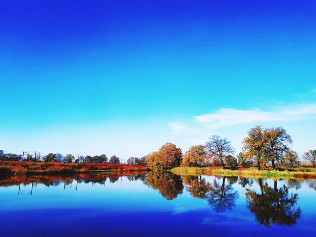 Reflection of trees in lake against blue sky