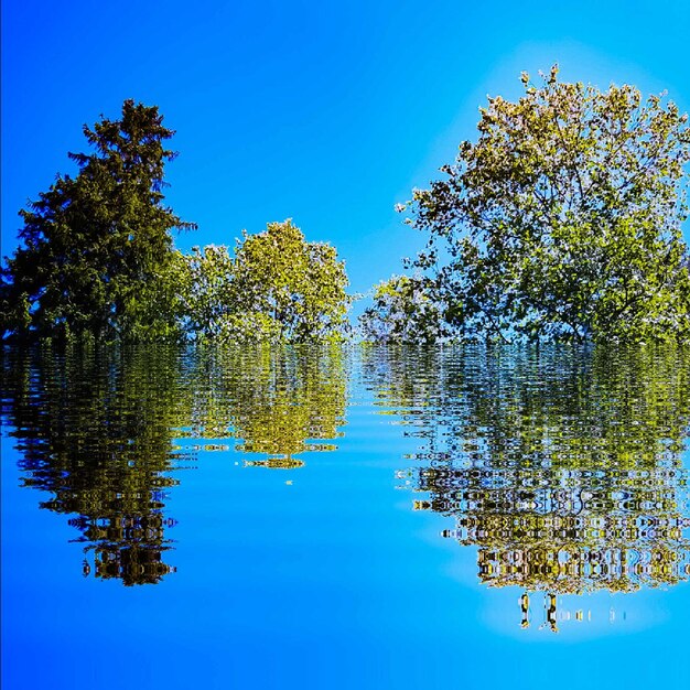 Reflection of trees in lake against blue sky