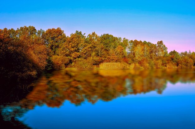 Reflection of trees in lake against clear blue sky