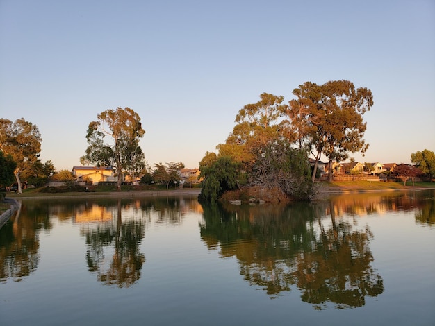 Photo reflection of trees in lake against clear sky