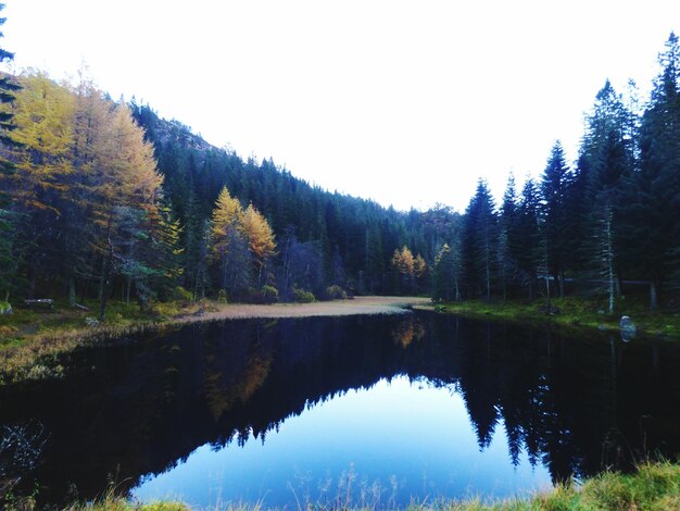 Reflection of trees in lake against clear sky