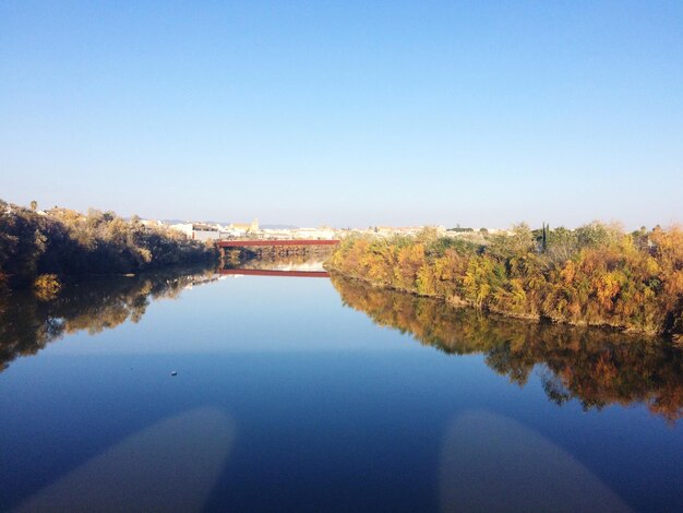 Reflection of trees in lake against clear sky