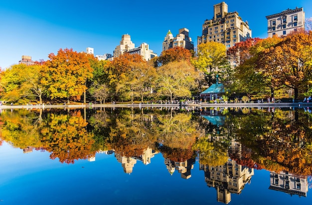 秋の空に映る湖の木の反射 - ウォーターミラー ニューヨークパーク