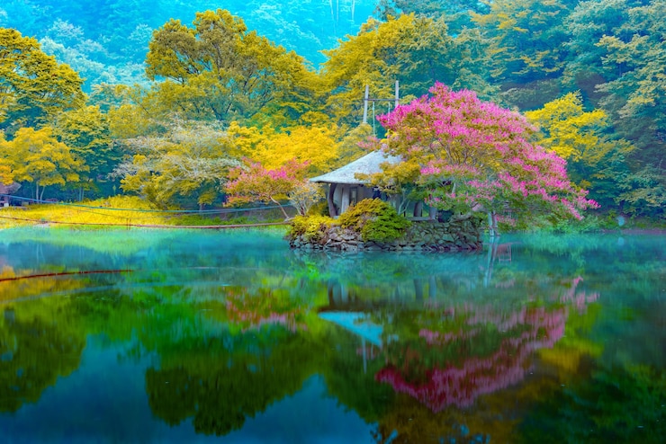 Photo 湖中樹木在秋天對天空的反射