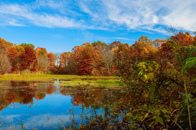 Photo reflection of trees in lake against sky during autumn