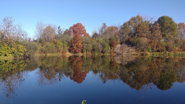 Reflection of trees in lake against sky during autumn