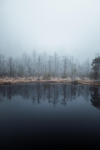 Reflection of trees in lake against sky foggy moody landscape tinovul mohostransylvania