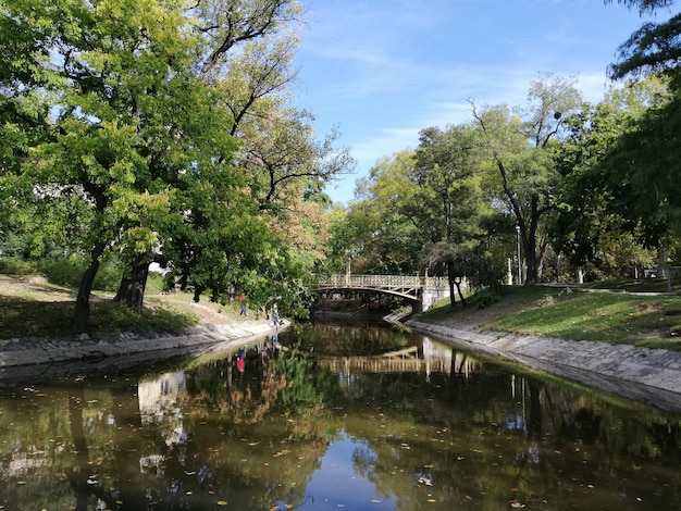 Reflection of trees in lake against sky in park