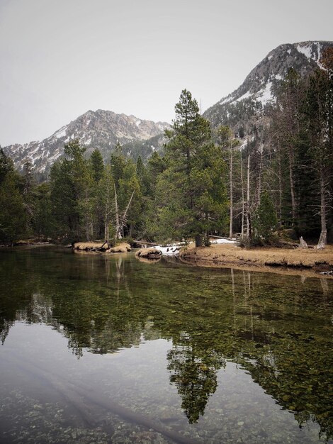 Photo reflection of trees in lake against sky