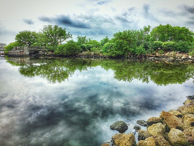 Reflection of trees in lake against sky