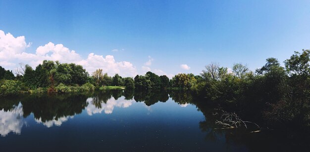 Reflection of trees in lake against sky