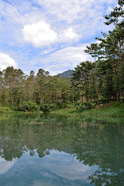 Foto il riflesso degli alberi nel lago contro il cielo