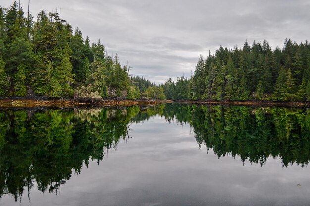 Reflection of trees in lake against sky