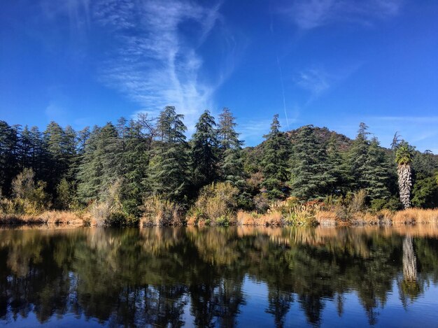 Photo reflection of trees in lake against sky