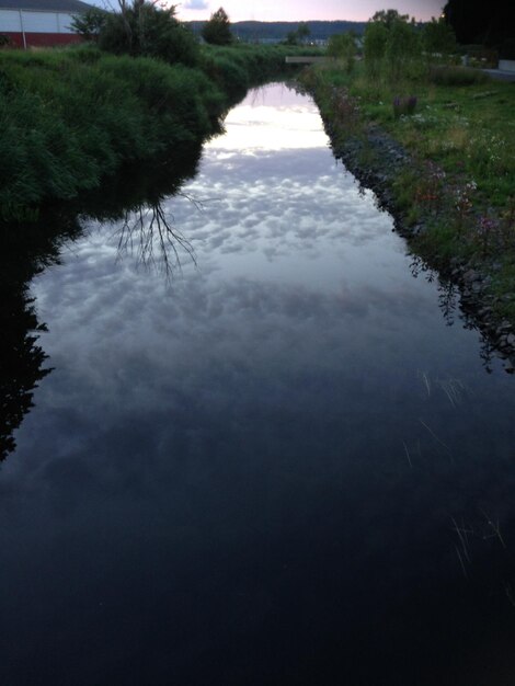 Reflection of trees in lake against sky