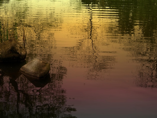 Foto il riflesso degli alberi nel lago contro il cielo