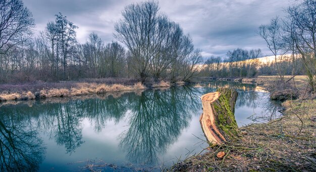 Reflection of trees in lake against sky