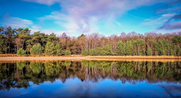 Reflection of trees in lake against sky