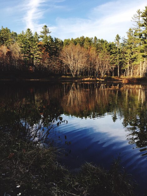 Reflection of trees in lake against sky