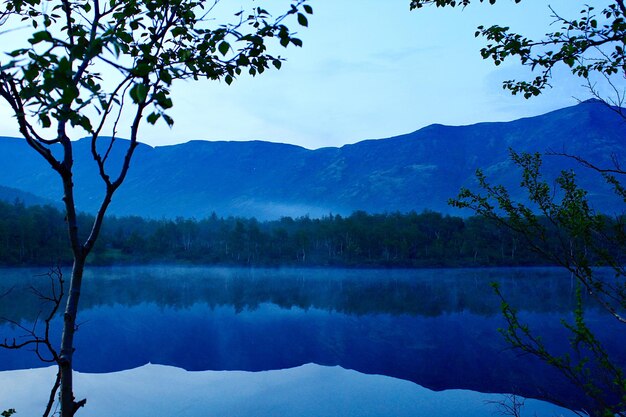 Reflection of trees in lake against sky