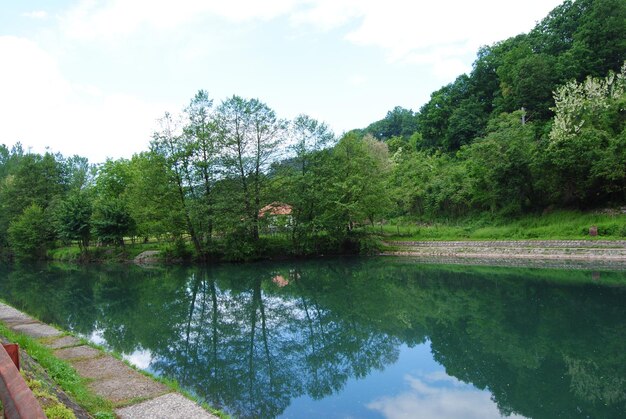 Reflection of trees in lake against sky