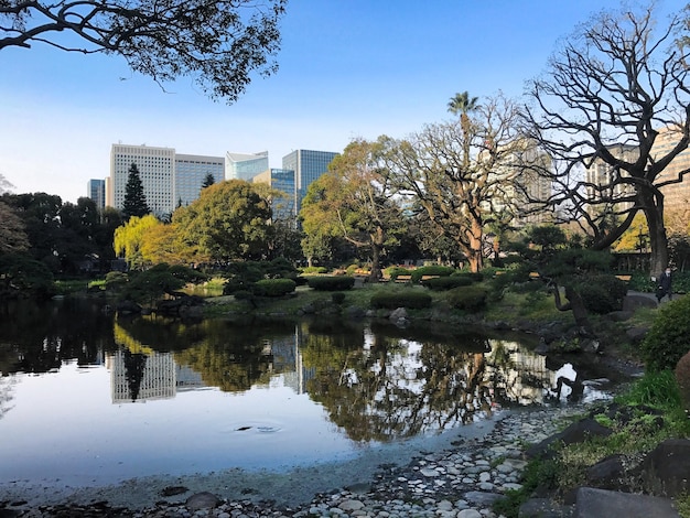 Reflection of trees in lake against sky