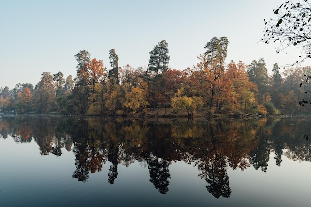 Photo reflection of trees in lake against sky